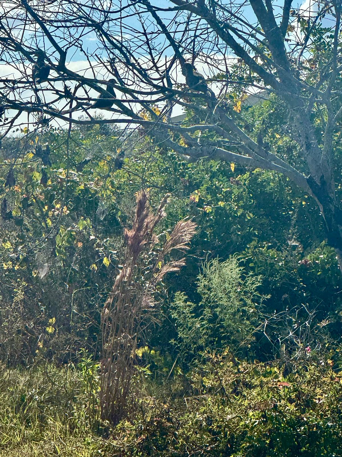 Photography by Miriana - January 9, 2026